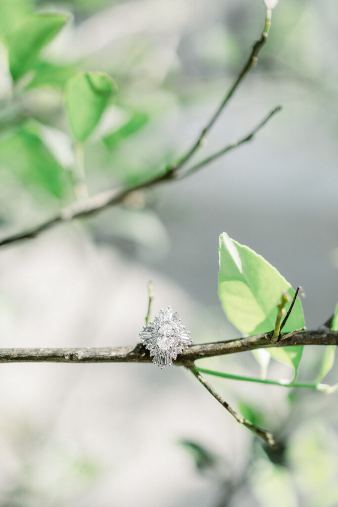 Florida engagement photographer Jessica Thomas capturing natural, timeless moments at Andalusian Oaks